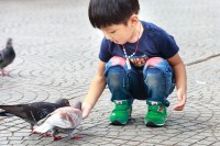小学生安全防范小课堂，守护成长，安全童行！